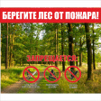 Берегите лес от пожара Берегите лес от пожара