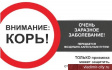Внимание: корь! Внимание: корь!