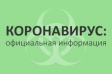 На сайте мэрии Владимира открыт раздел о профилактике коронавируса На сайте мэрии Владимира открыт раздел о профилактике коронавируса