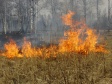 Внимание! Соблюдайте Правила пожарной безопасности! Внимание! Соблюдайте Правила пожарной безопасности!