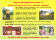 Пожарная безопасность на природе и на даче Пожарная безопасность на природе и на даче