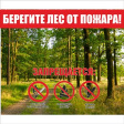 Берегите лес от пожара! Берегите лес от пожара!
