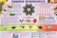 О профилактике пищевых отравлений О профилактике пищевых отравлений