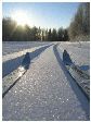 Снова - на «Лыжню России» Снова - на «Лыжню России»